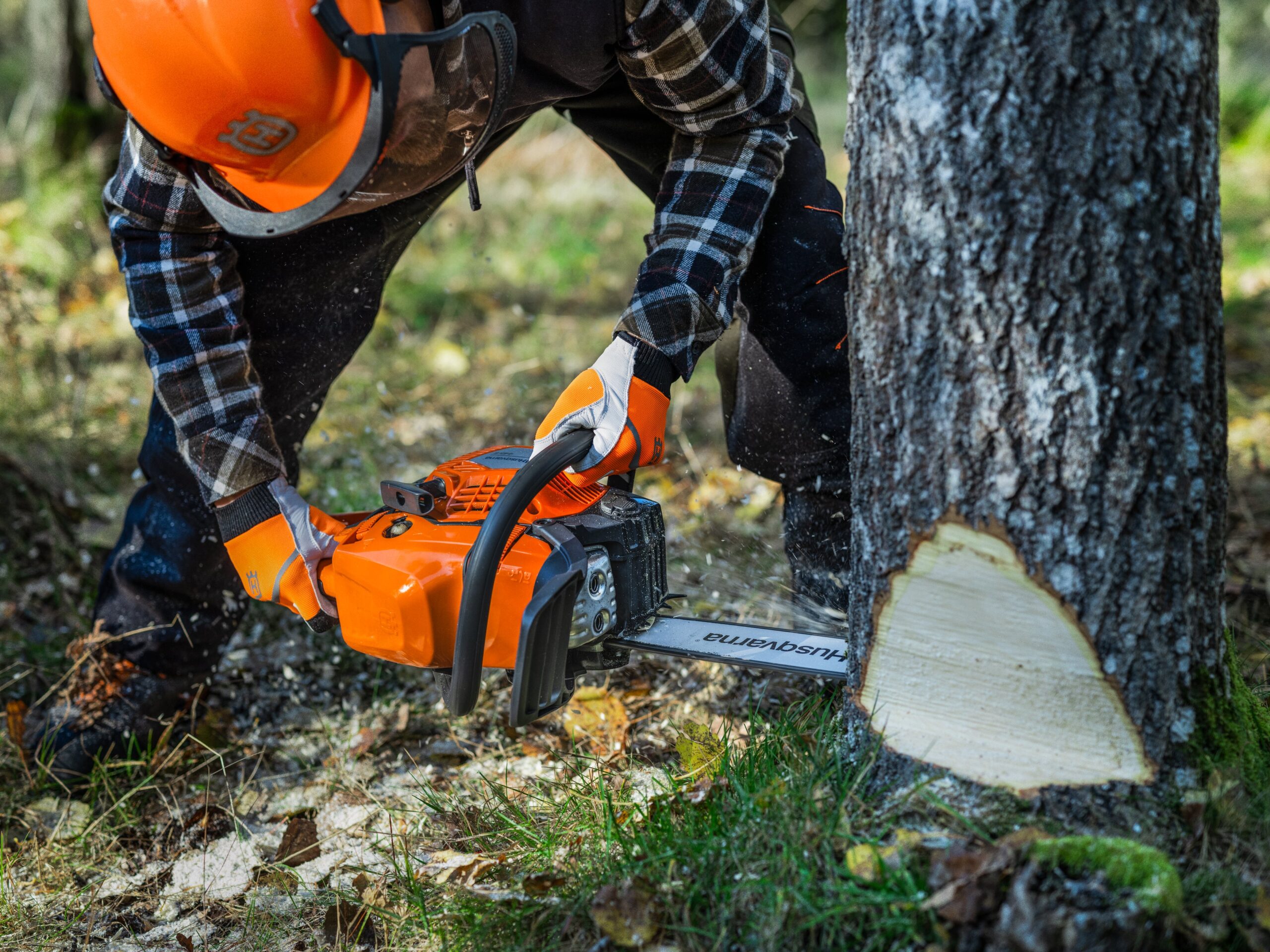 445S langetamine 445S langetamine